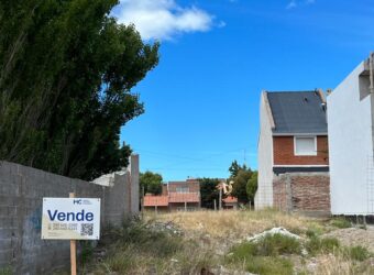 Berutti entre French y Costamagna