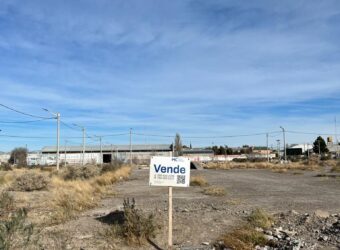 A. Jenkins y 2 de Abril