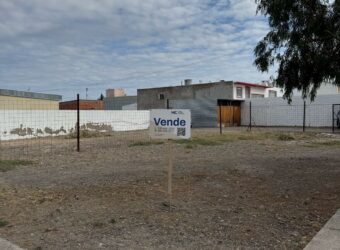 Love Parry y Gdor. Tello