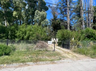 Cangallo y Juan Manuel de Rosas